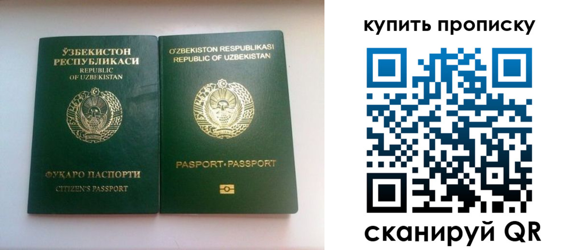 прописка в квартире в Камышлове